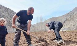Şırnaklı çiftçi, devlet yardımıyla 25 dönüm arazisini meyve fidanlarıyla doldurdu