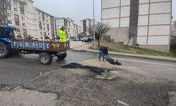 Şırnak'ta geçici yol onarımları hız kazandı