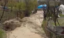 Şırnak'ta sel sonrası güvenlik korucusu silahla uyardı