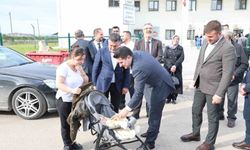 Söğütlü Semt Polikliniği Artık Hizmette