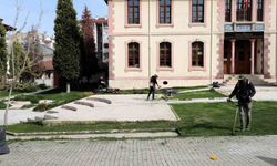 Söğüt'te çim biçme faaliyetleri başladı