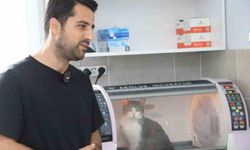 Sokak kedisi Kral, ölüm tehlikesini atlattı, başarılı ameliyat sonrası sağlığına kavuştu