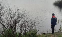 Söke'de sel felaketinin ardından tarım alanlarında hasar tespit çalışmaları devam ediyor