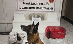 Su arıtma cihazında gizlenmiş esrar yakalandı