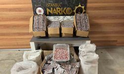 Sultanbeyli'de uyuşturucu baskını: 343 bin hap ele geçirildi