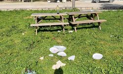 Tarihi yer çevresinde kirlilik sorunu