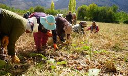 Tarım Sektörüne Hibe Desteği Yüzde 70'e Kadar Çıkıyor