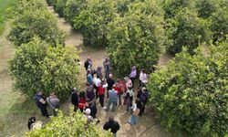 Tarımda devrim niteliğinde uygulama başlıyor