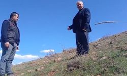Ters laleleri koparan 700 bin TL ceza ödeyecek