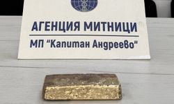 Tırın direksiyonuna gizlenen altın, gümrükte yakalandı