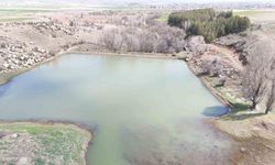 Tomarza'da etkili yağışlar barajları besledi, çiftçiye umut oldu