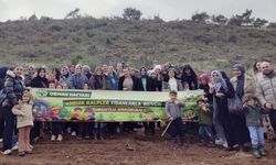 Turgutlu'daki çocuklar 250 fidanı toprakla buluşturdu