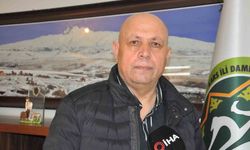 Türkiye'de Yün Sorunu: Üretim Var, Pazar Yok