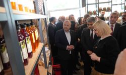 Türkiye'nin İlk Ekolojik Marketi Kastamonu'da Açıldı