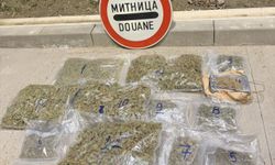 Uyuşturucu, avokado ve mango arasında gizlenerek geçirilmeye çalışıldı