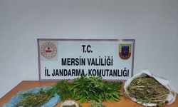 Uyuşturucu madde taciri jandarma tarafından yakalandı