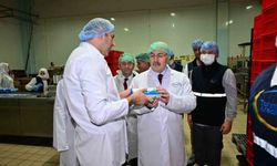 Vali Köşger, Acıpayam'da Çeşitli İncelemelerde Bulundu