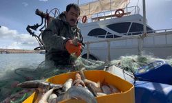 Van Gölü'nde inci kefali av yasağı başladı: Kaçak avcılığa 16 bin TL ceza