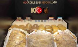 Van'da gümrük kaçakçılığına yönelik operasyon