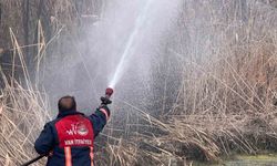Van'daki sazlık alanda yangın çıktı