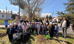 Vezirköprü'de Küçük Öğrenciler Fidan Dikti