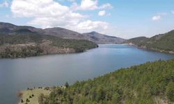 Yağışlar Nilüfer Barajı'nı doldurdu, dereler hareketlendi