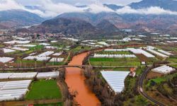 Yağmur Sonrası Sakarya Nehri'nin Görünümü Değişti