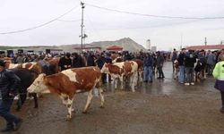 Yağmura Rağmen Üreticiler ve Alıcılar Bu Pazarda Bir Araya Geliyor