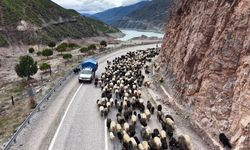 Yayla göçleri yolda zorluklarla karşılaşıyor
