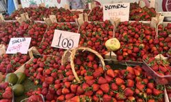 Yaz meyveleri pazar tezgahlarında boy göstermeye başladı