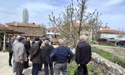 Yenipazar'da gübreleme ve budama eğitimi yapıldı