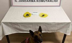 Yolda yapılan kontrollerde uyuşturucu bulundu