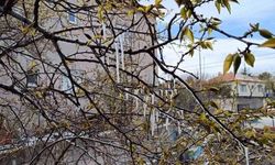 Yozgat'ta çiftçilere zirai don uyarısı yapıldı