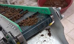 Yozgat'ta sokak hayvanlarına yönelik mama üretim tesisi açıldı