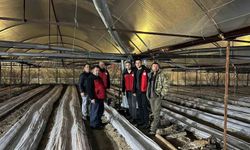 Zirai dona karşı kiraz bahçelerinde nöbet tutuldu