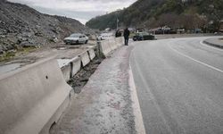Zonguldak'ta direksiyon hakimiyetini kaybeden araç kaza yaptı