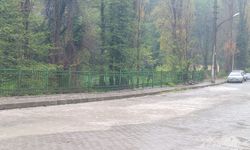 Zonguldak'ta yağışlar yolları gölete çevirdi