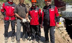 Zorlu araziye mahsur kalan 2 keçi kurtarıldı