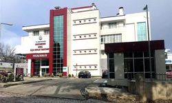 Ağaç devrilince altında kalan işçi yaşamını yitirdi