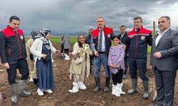 Ağrı'da 2 bin 500 çiftçiye 50 bin fidan dağıtıldı