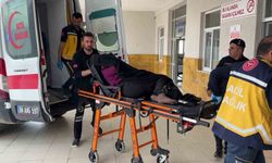 Bostana giren inek kavgaya neden oldu, 1 ölü, 3 yaralı
