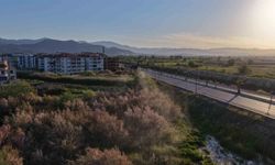 Büyükşehir, haşereyle mücadelede durmaksızın çalışıyor