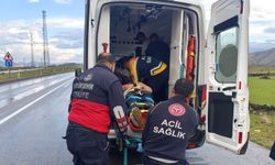 Çaldıran'da trafik kazası: 5 kişi yaralandı