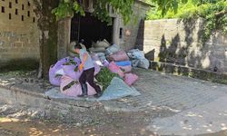 ÇAYKUR, çay sezonunu 900 ton alımla başlattı