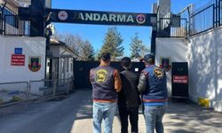 Diyarbakır'da 115 hükümlü jandarma operasyonuyla yakalandı