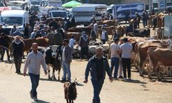 Diyarbakır'da Kurbanlık Alım Satımında Yoğun Günler