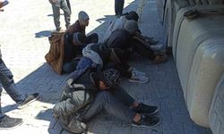 Erbaa'da tırda 7 kaçak göçmen bulundu
