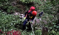 Fındık bahçesinde düştü, hayatını kaybetti