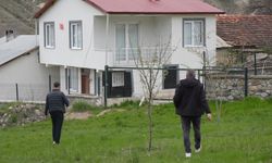 Gümüşhane'de ayılar köylere iniyor: Vatandaşlar endişeli