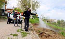 Halk buluşmalarında talepler anında yanıtlandı